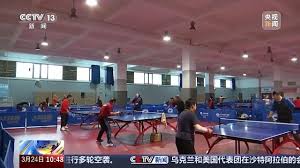 乒乓球台正常标准
